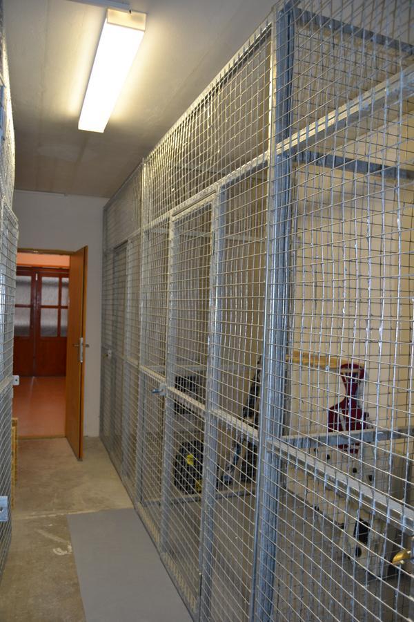 Apartmany Rysi Skala Loučná nad Desnou Extérieur photo